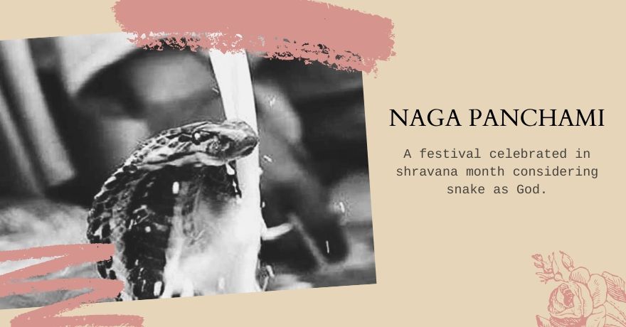 Nag Panchami Date 2023 : Importance, Celebrations and History