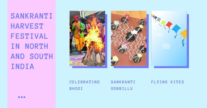 Pongal |Makar Sankranti | South Indian & North Indian Festival