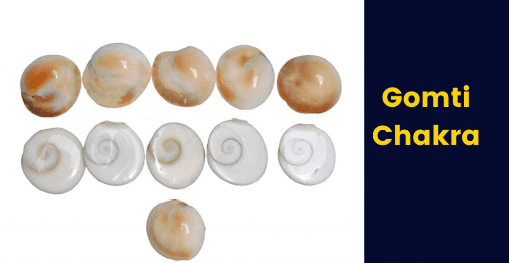Gomti Chakra :Benefits,History,Uses,
