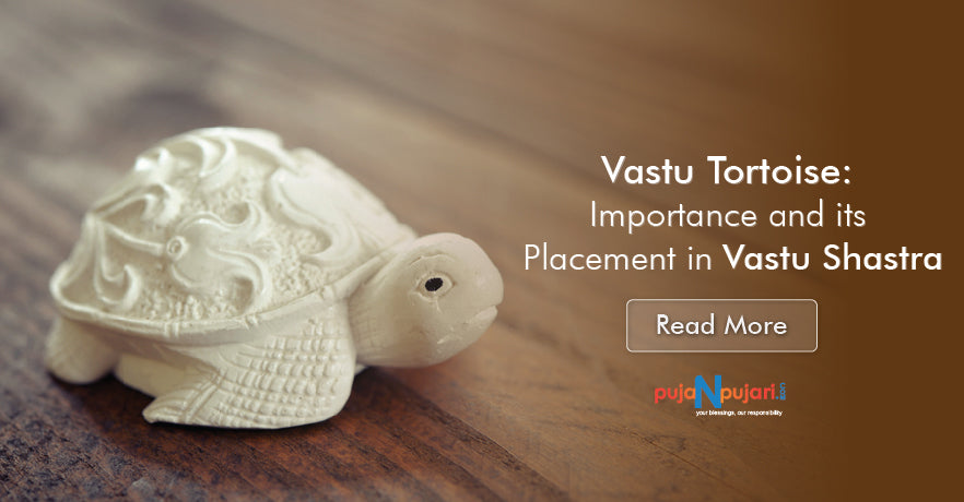 Vastu Tortoise: Importance and its Placement in Vastu Shastra