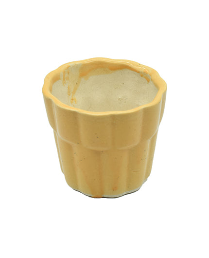 Indoor Flower Plant Pot