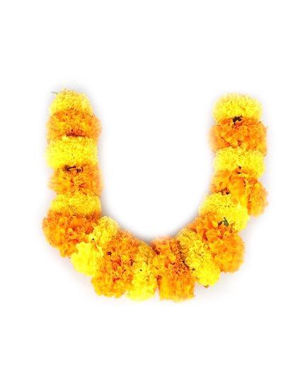 Chendupoo Needle Mola / String