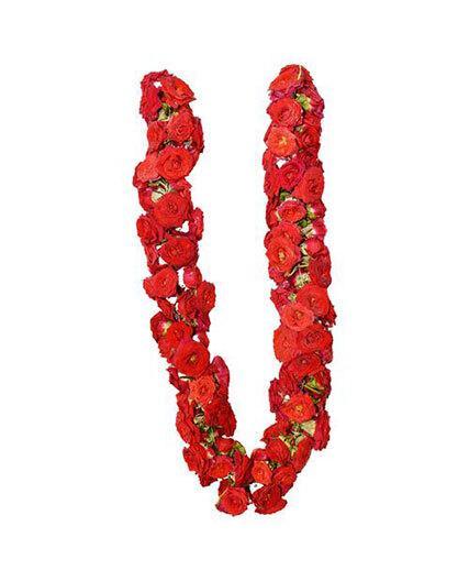 Merable Rose String /mola