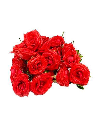Red Button Roses