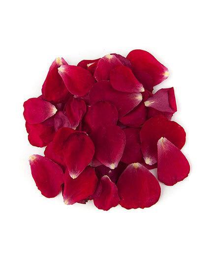 Rose Loose Petals
