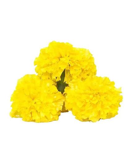 Loose Marigold Yellow Flower
