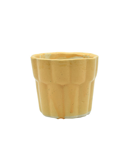 Indoor Flower Plant Pot