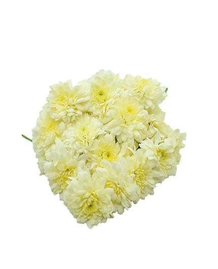 100% Natural White Chamanthi Flowers for Pooja