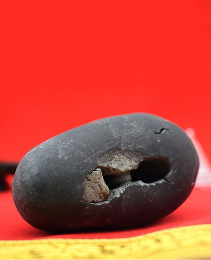 Original Lakshmi Narayana Shaligram