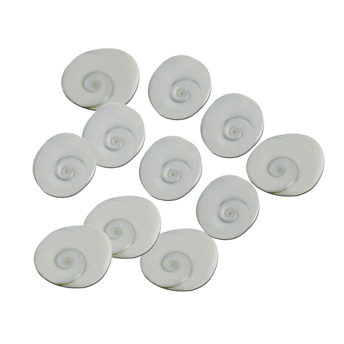 Set of 11 Gomati Chakra