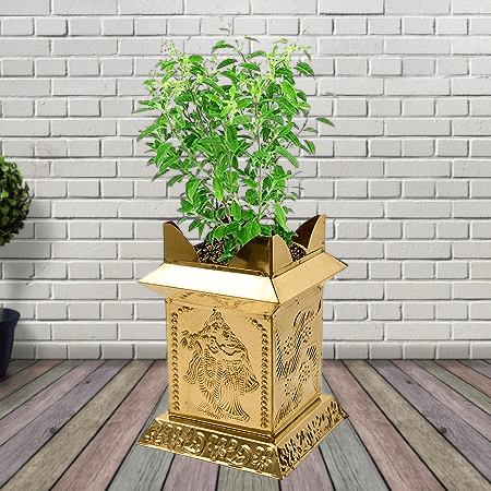 Brass tulsi mandapam for Home and Indoor Decoration,for Gardening,Brindavan Tulsi Pot 8 Inch Height.