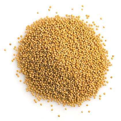 White Mustard for Pooja 50 Gms
