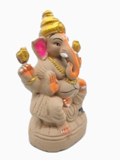 Ecofriendly Ganesha