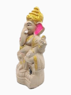 Ecofriendly Ganesha