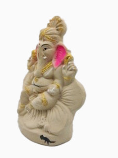 Ecofriendly Ganesha