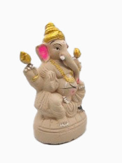 Ecofriendly Ganesha