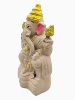 Ecofriendly Ganesha