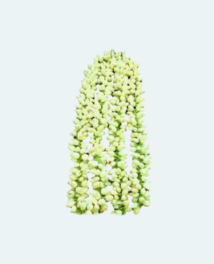 Fresh Jasmine Mala, 1 Mola(40cm)