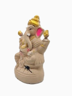 Ecofriendly Ganesha