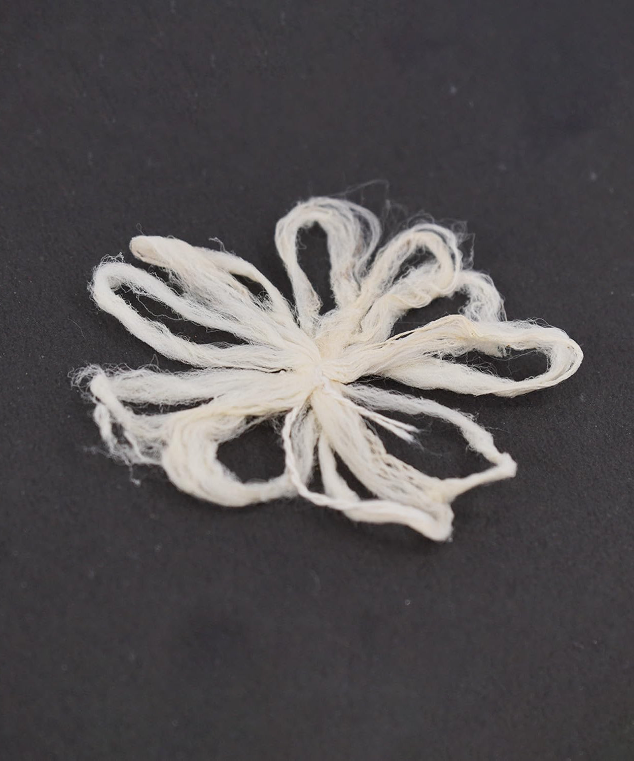 Lakshmi Tamara Vattulu/Thamarai Thiri/Lotus Kamal Steam Wicks for Puja (Pack of 10)