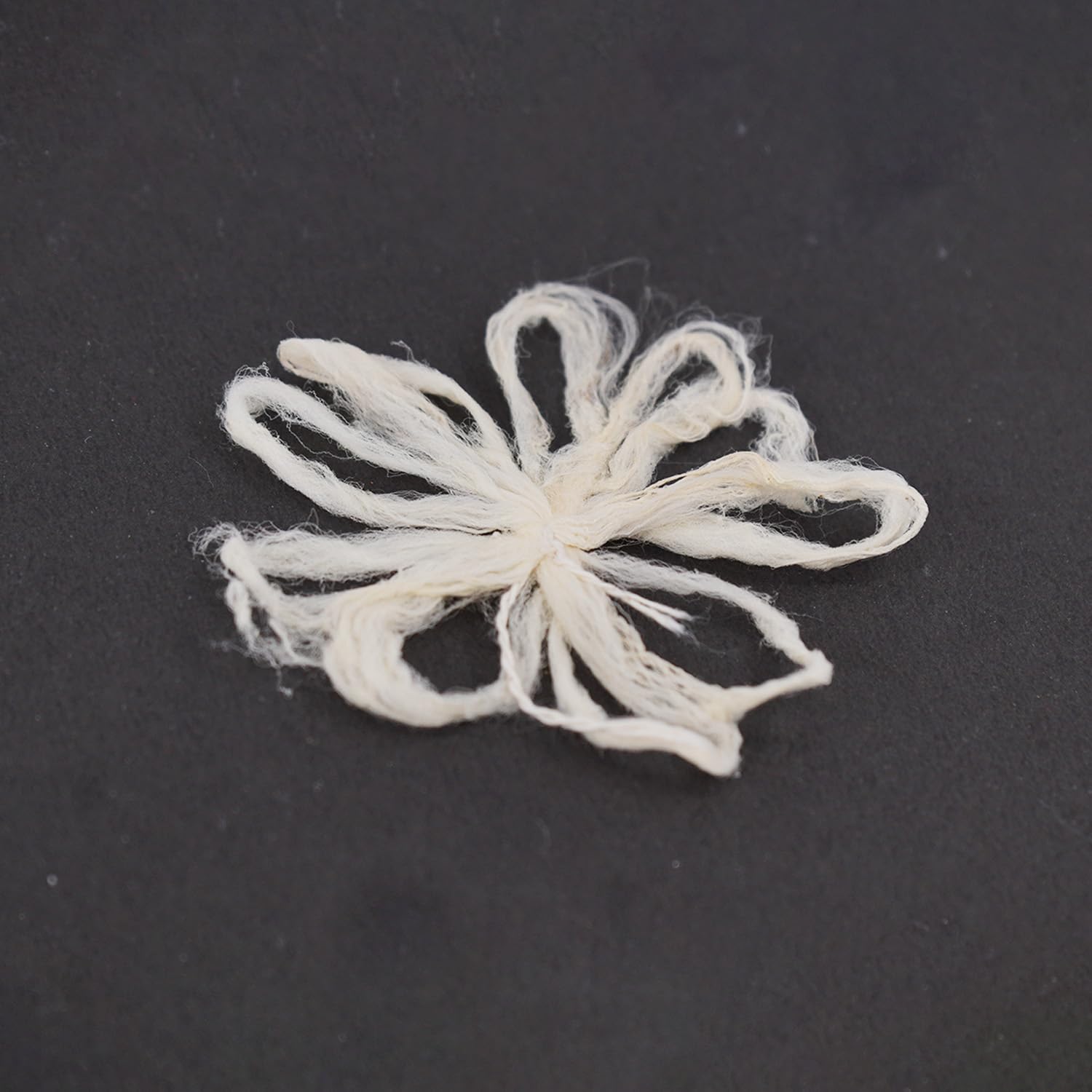 Lakshmi Tamara Vattulu/Thamarai Thiri/Lotus Kamal Steam Wicks for Puja (Pack of 10)