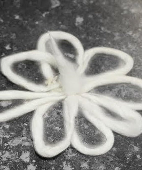 Lakshmi Tamara Vattulu/Thamarai Thiri/Lotus Kamal Steam Wicks for Puja (Pack of 10)