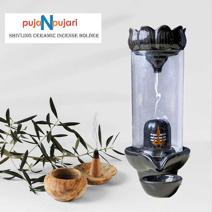 Shivling Design Backflow Smoke Fountain Incense Holder with 10 Backflow Cones