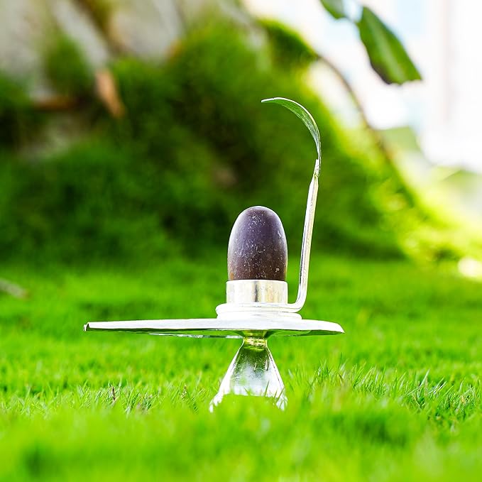 Rudraksha Narmadeshwar Shivling Jalhari Silver( 9- Inch)