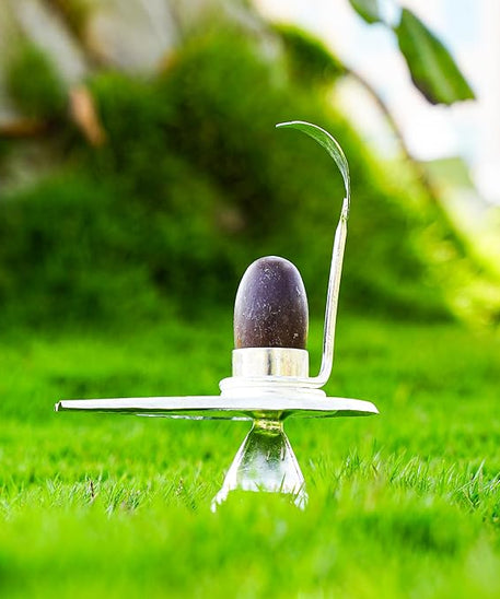 Rudraksha Narmadeshwar Shivling Jalhari Silver( 7 inch )