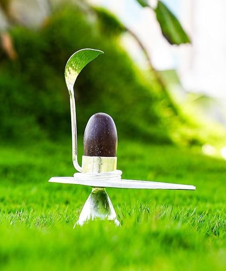 Rudraksha Narmadeshwar Shivling Jalhari Silver( 7 inch )