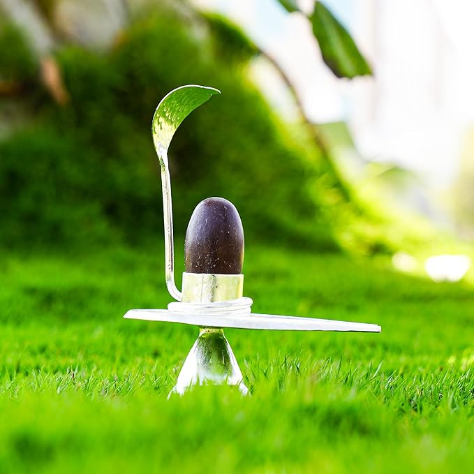 Rudraksha Narmadeshwar Shivling Jalhari Silver( 7 inch )