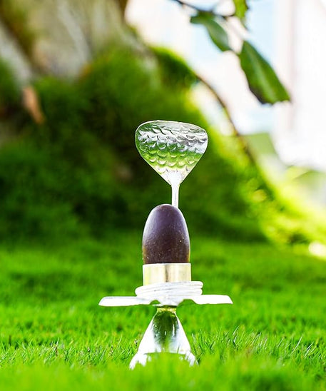 Rudraksha Narmadeshwar Shivling Jalhari Silver( 9- Inch)