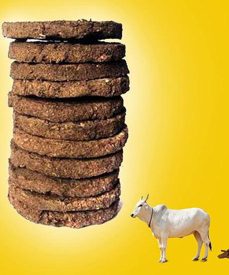 Natural Cow Dung Cake (10 Pieces)