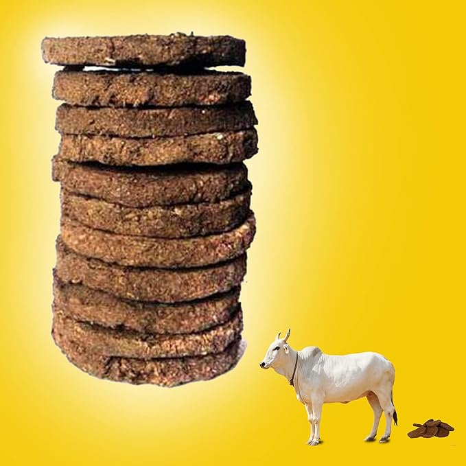 Natural Cow Dung Cake (10 Pieces)