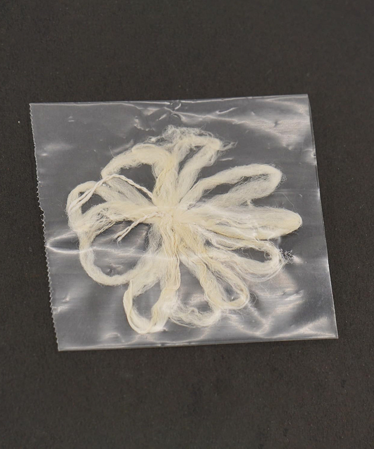 Lakshmi Tamara Vattulu/Thamarai Thiri/Lotus Kamal Steam Wicks for Puja (Pack of 10)