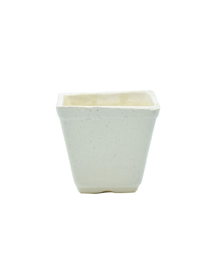 Indoor Ceramic Flowewr Pot