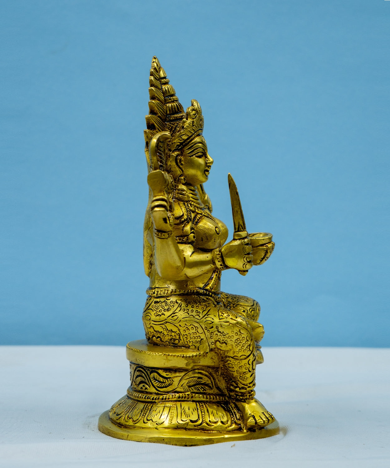 Brass Karumariamman puja and home decore