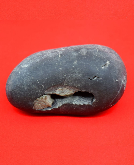 Original Lakshmi Narayana Shaligram