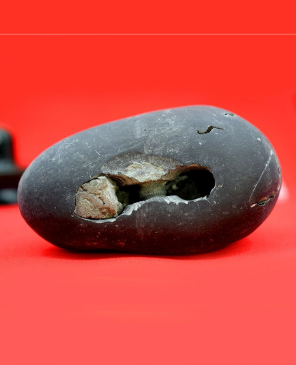 Original Lakshmi Narayana Shaligram