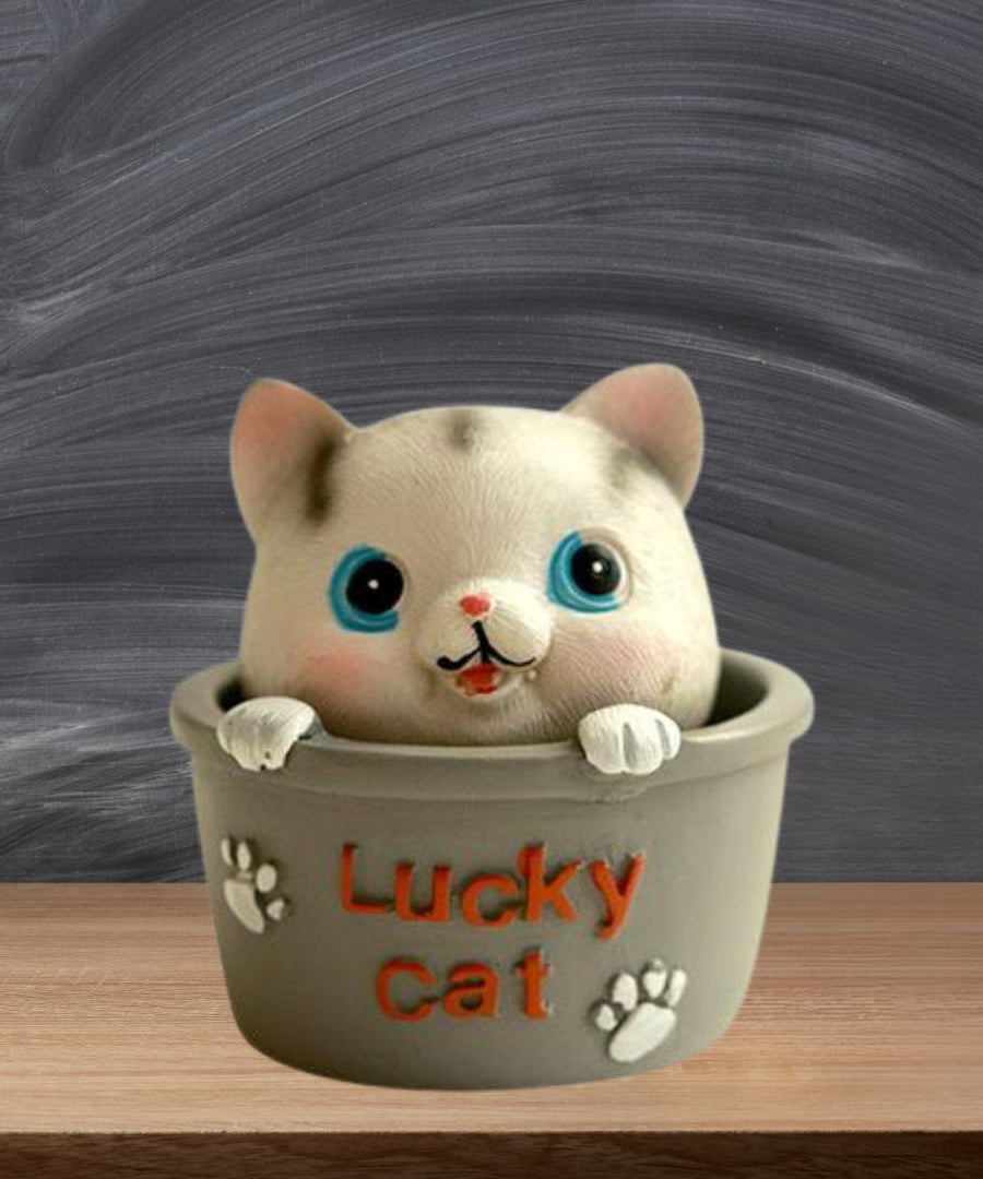 Cats for Home Decor