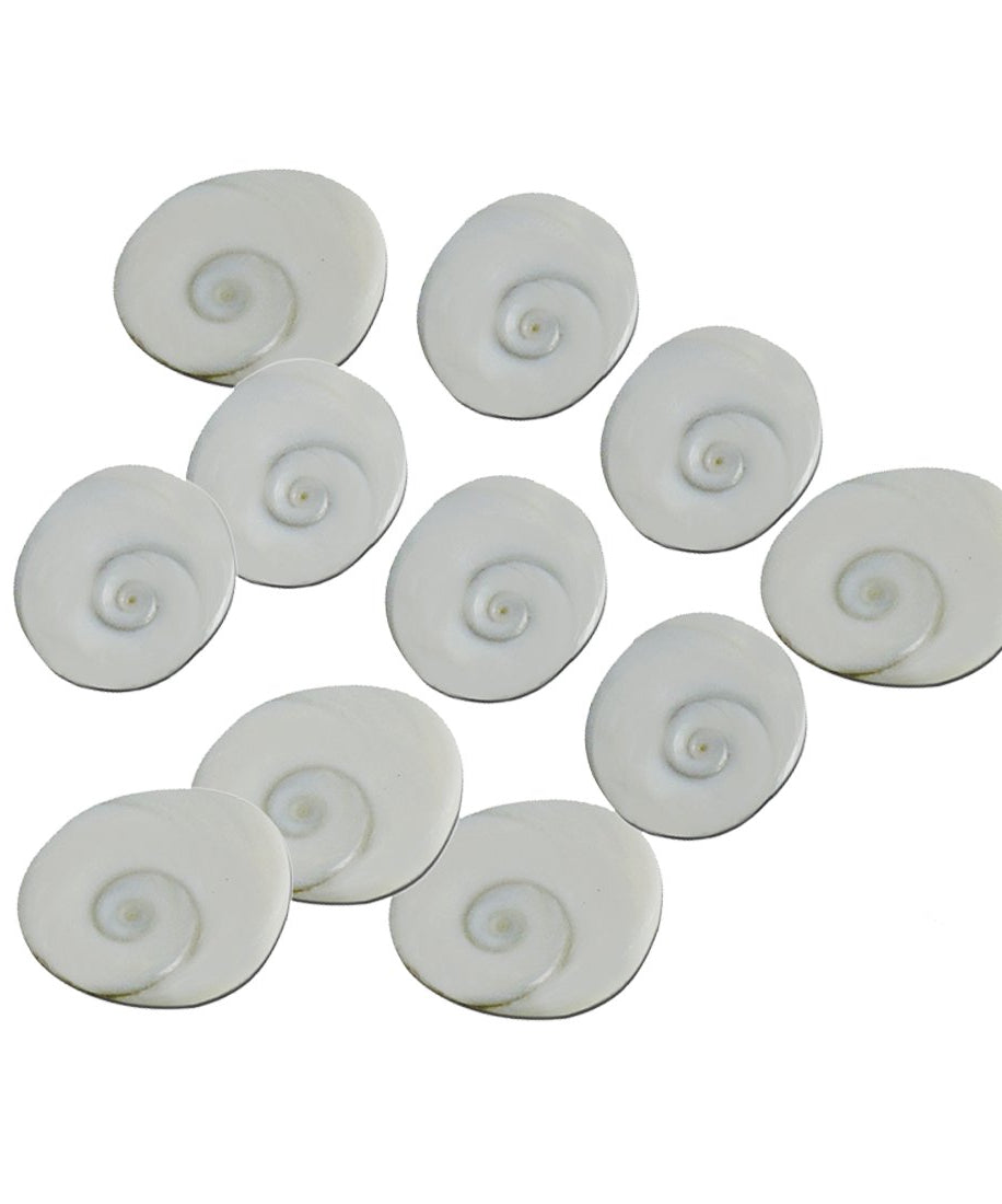 Set of 11 Gomati Chakra