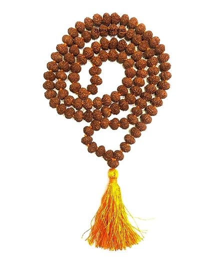 original-rudraksha