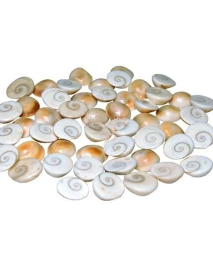 Original Natural Gomati/Gomti Chakra for Puja (White) 51 Pieces