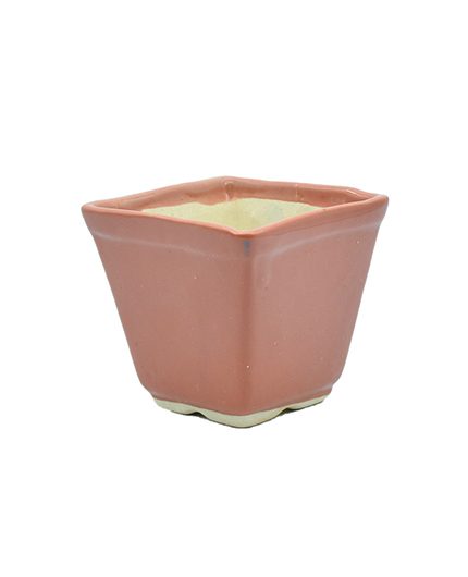 Ceramic Flower Pot for Indoor