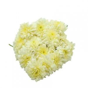 Natural White Chamanthi Flowers for Pooja
