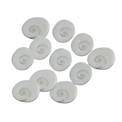 Set of 11 Gomati Chakra