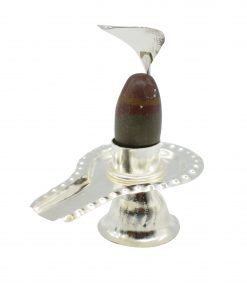 Rudraksha Narmadeshwar Shivling Jalhari