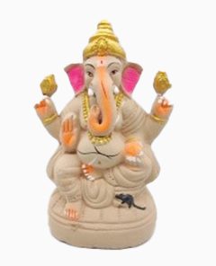 Ecofriendly Ganesha