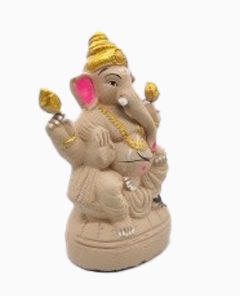 Ecofriendly Ganesha