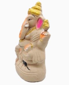 Ecofriendly Ganesha